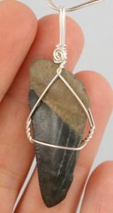 Black Shark tooth wire wrap