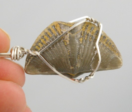 Brachiopod Fossil wire wrap