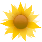 Healing energy of the sun