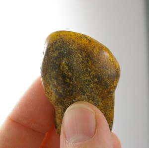Baltic Amber