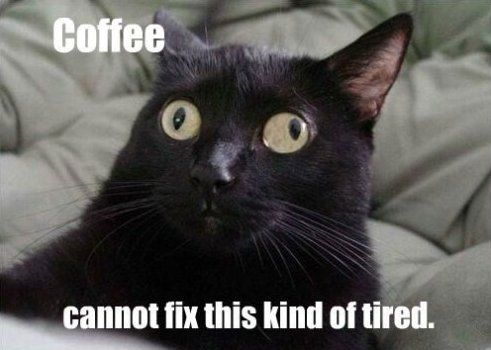 b8a09d1a9dc151d6e421a62571e87dd8