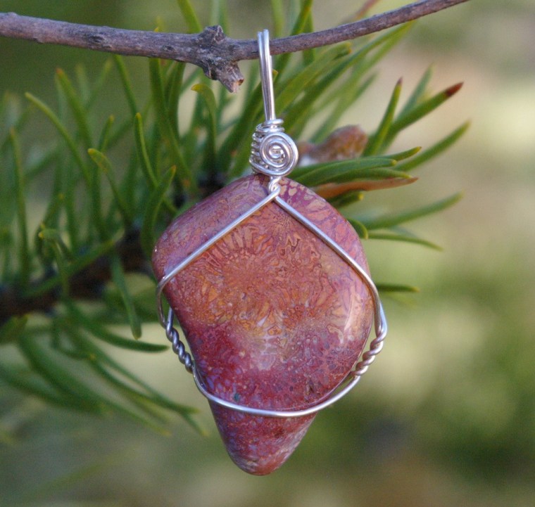 Agatized Coral for life changes by wicked stones